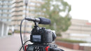 Tascam TM-200SG Shotgun Microphone