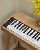 Donner DDP-60 88-Key Semi-Weighted Wooden Upright Digital Piano with 3-Pedal for Beginner