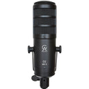 Golden Age Project D2-MKII Large-Diaphragm Dynamic Microphone