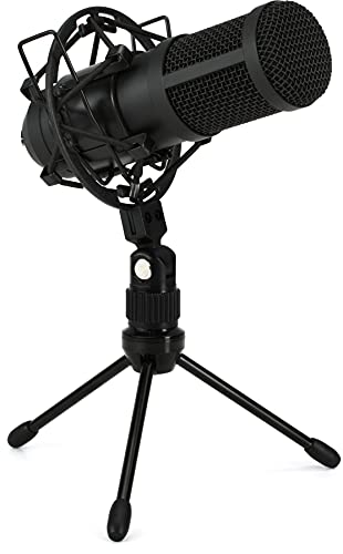 Tascam TM-70 Dynamic Microphone for Broadcast Streaming