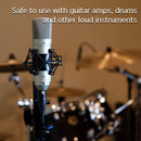 Tascam Tascam TM-80 Studio Condenser Microphone